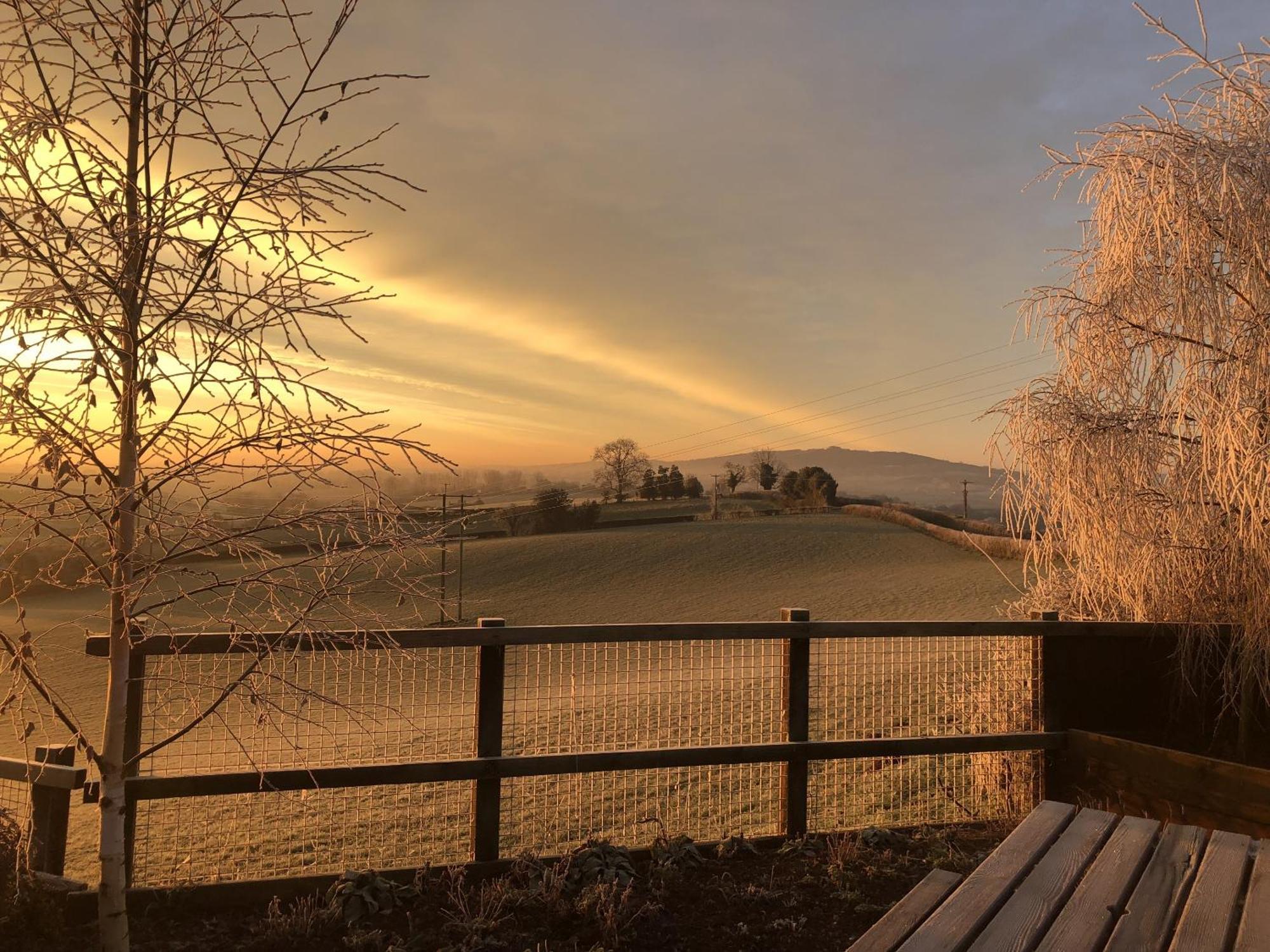 Betula Views Studio Newent Eksteriør bilde
